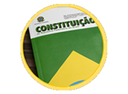 Dia da constituição